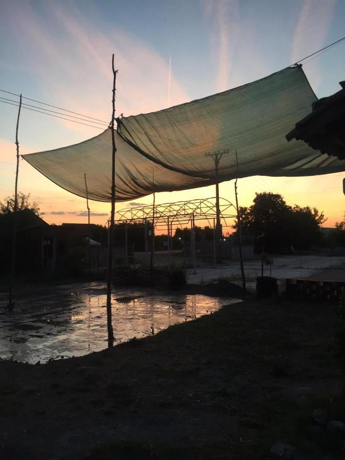 Anza Camping Shkoder Bagian luar foto