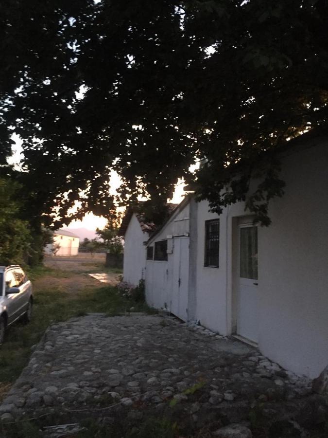 Anza Camping Shkoder Bagian luar foto