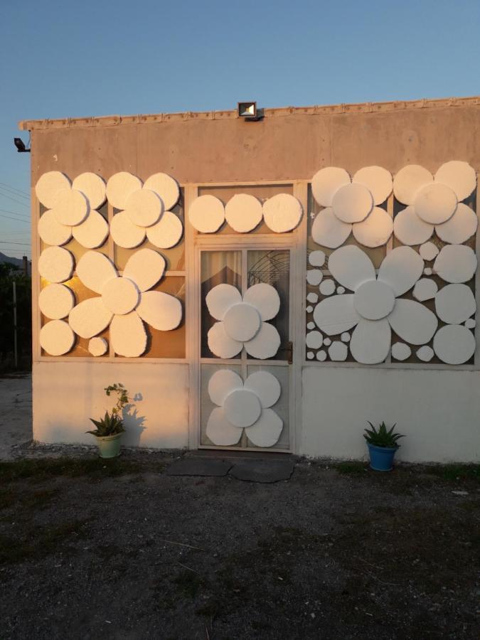 Anza Camping Shkoder Bagian luar foto